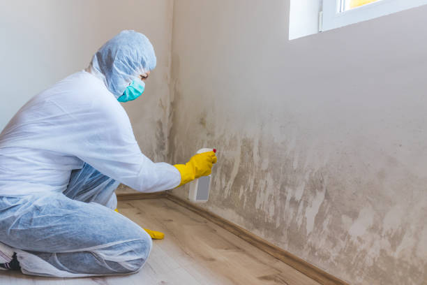 Mold inspector in Edgewood performing thermal imaging